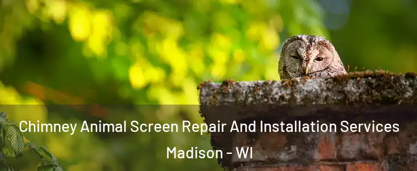  Chimney Animal Screen Repair And Installation Services Madison - WI