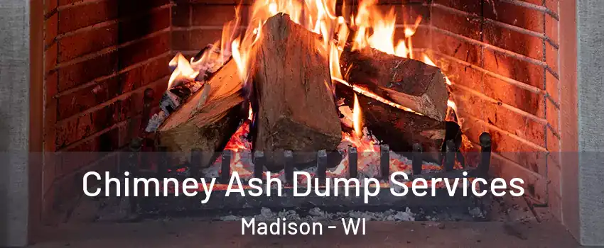  Chimney Ash Dump Services Madison - WI