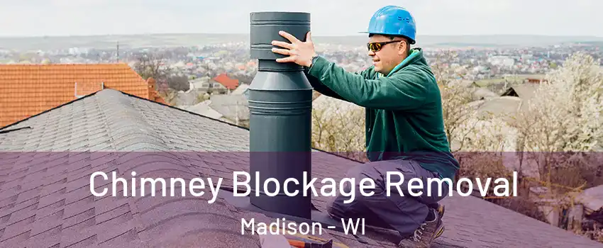  Chimney Blockage Removal Madison - WI