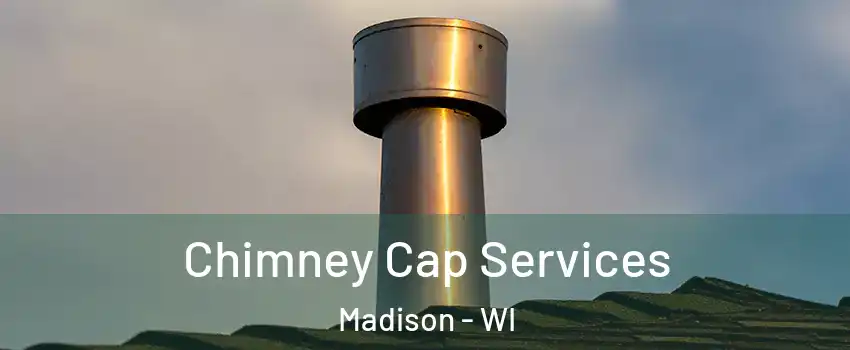  Chimney Cap Services Madison - WI