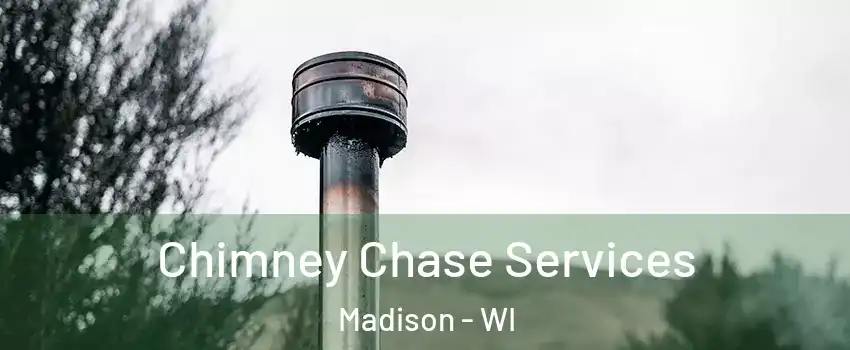  Chimney Chase Services Madison - WI