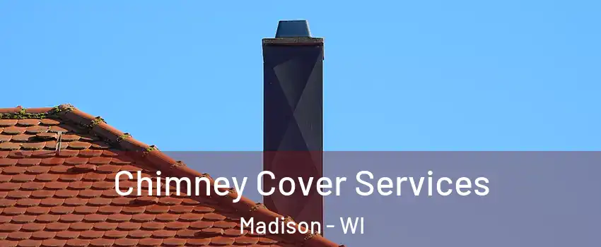  Chimney Cover Services Madison - WI