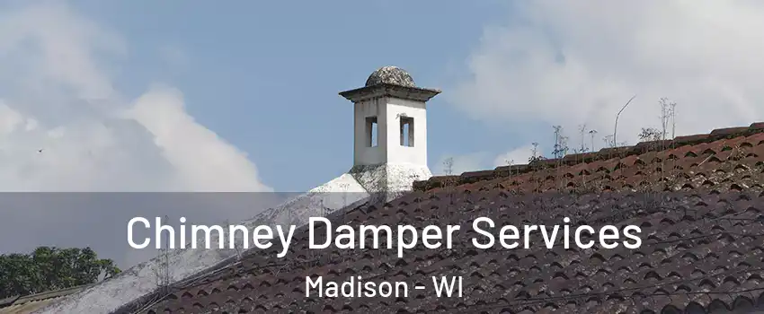  Chimney Damper Services Madison - WI
