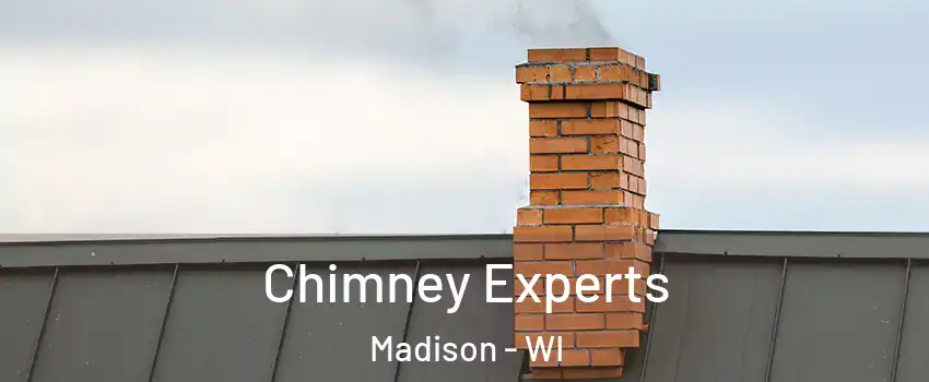 Chimney Experts Madison - WI