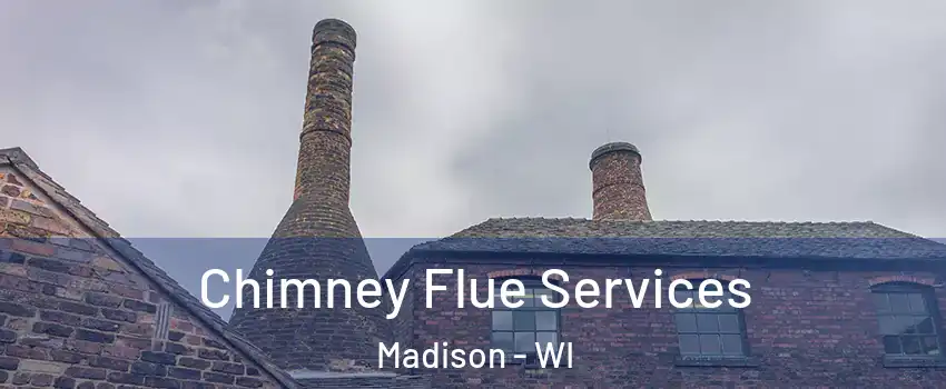  Chimney Flue Services Madison - WI