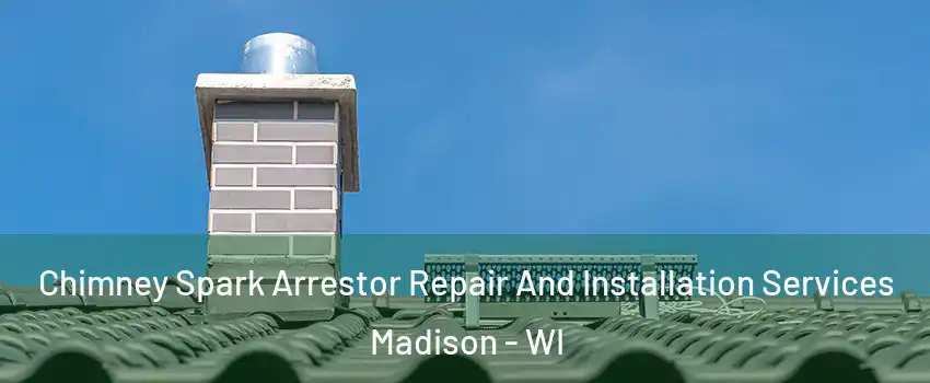  Chimney Spark Arrestor Repair And Installation Services Madison - WI