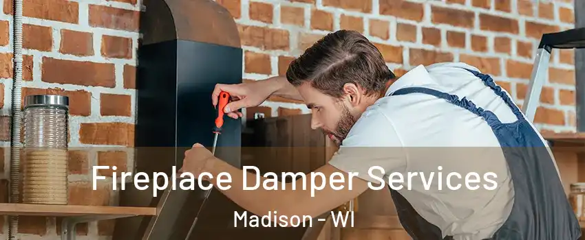  Fireplace Damper Services Madison - WI