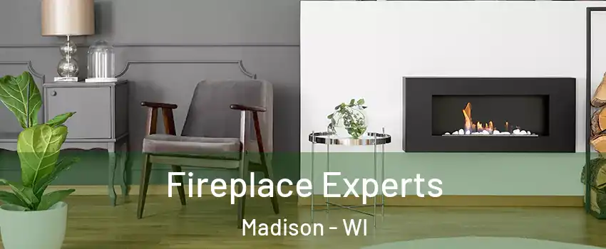  Fireplace Experts Madison - WI