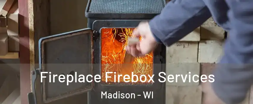  Fireplace Firebox Services Madison - WI