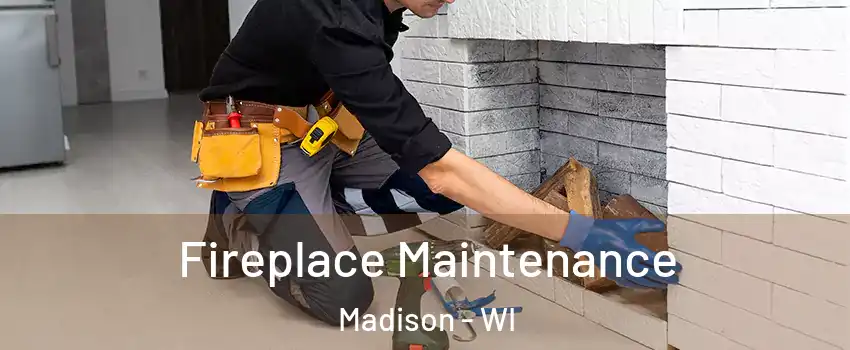  Fireplace Maintenance Madison - WI