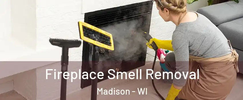  Fireplace Smell Removal Madison - WI