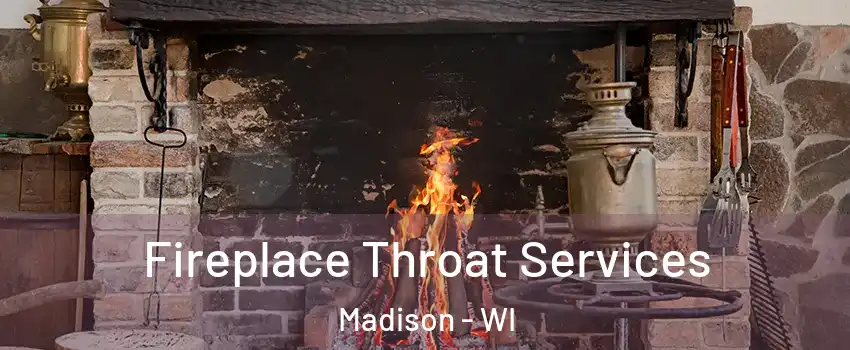  Fireplace Throat Services Madison - WI
