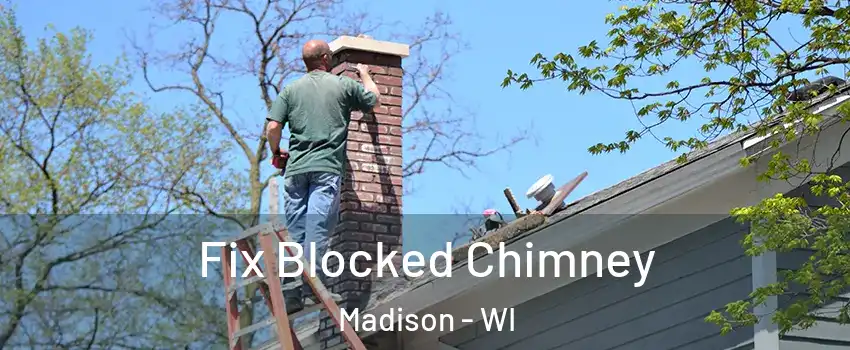  Fix Blocked Chimney Madison - WI
