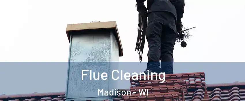  Flue Cleaning Madison - WI