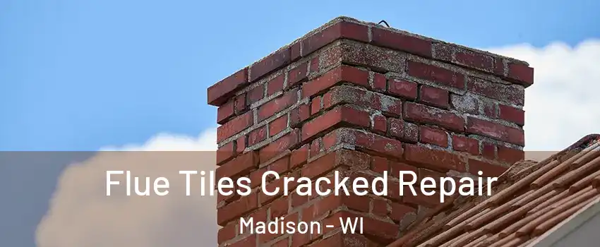  Flue Tiles Cracked Repair Madison - WI