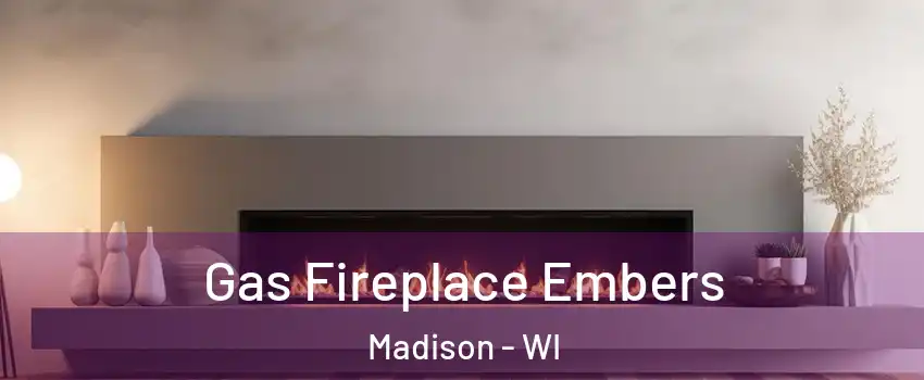  Gas Fireplace Embers Madison - WI