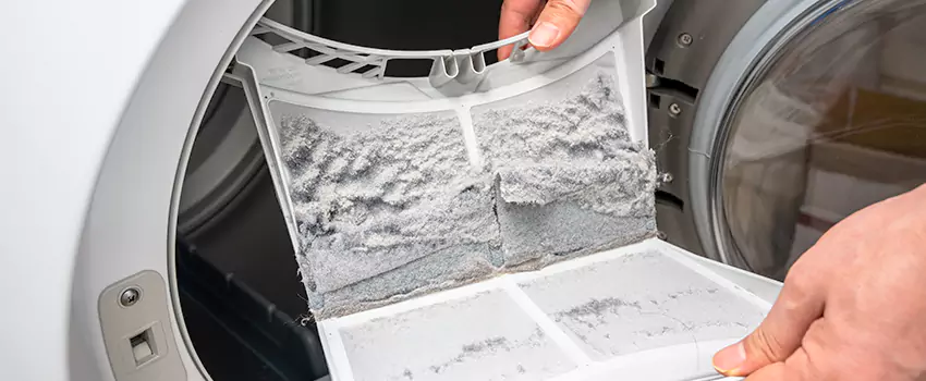 Best Dryer Lint Removal Company in Madison, Wisconsin