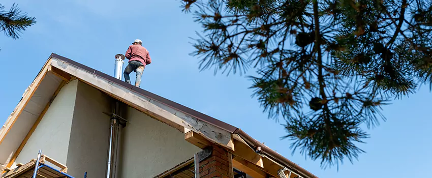 Birds Removal Contractors from Chimney in Madison, WI