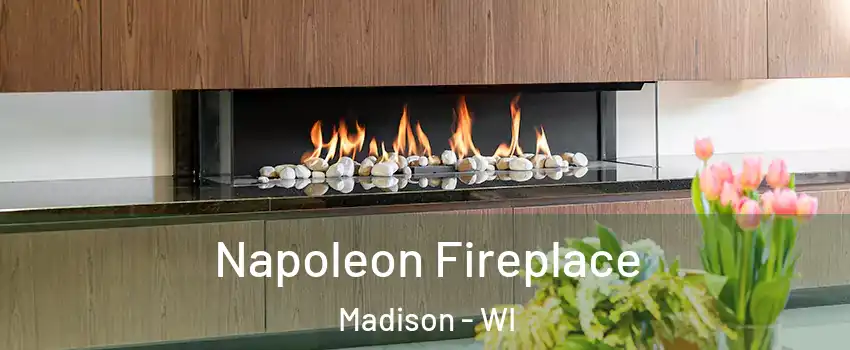  Napoleon Fireplace Madison - WI