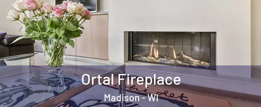 Ortal Fireplace Madison - WI